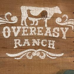Over Easy Ranch