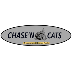 Chase'n Cats