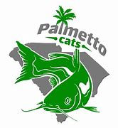 Palmetto Cats