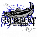 Shattered Cat